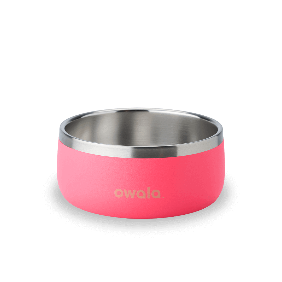 Pet Bowl (S3MAF)