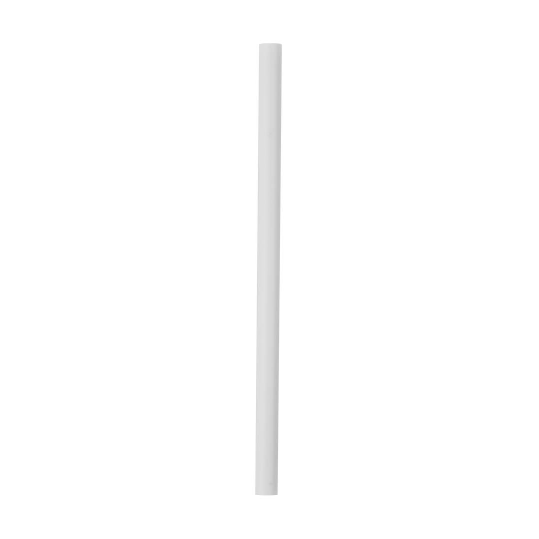 Replacement Straws (S3669)